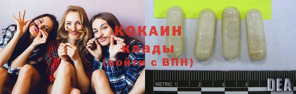 PSILOCYBIN Рославль