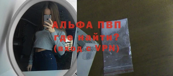 PSILOCYBIN Рославль