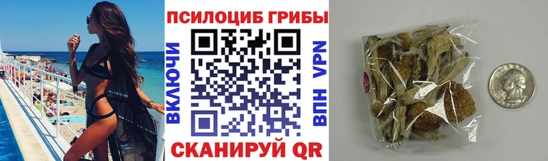 Псилоцибиновые грибы Psilocybe  Лосино-Петровский 