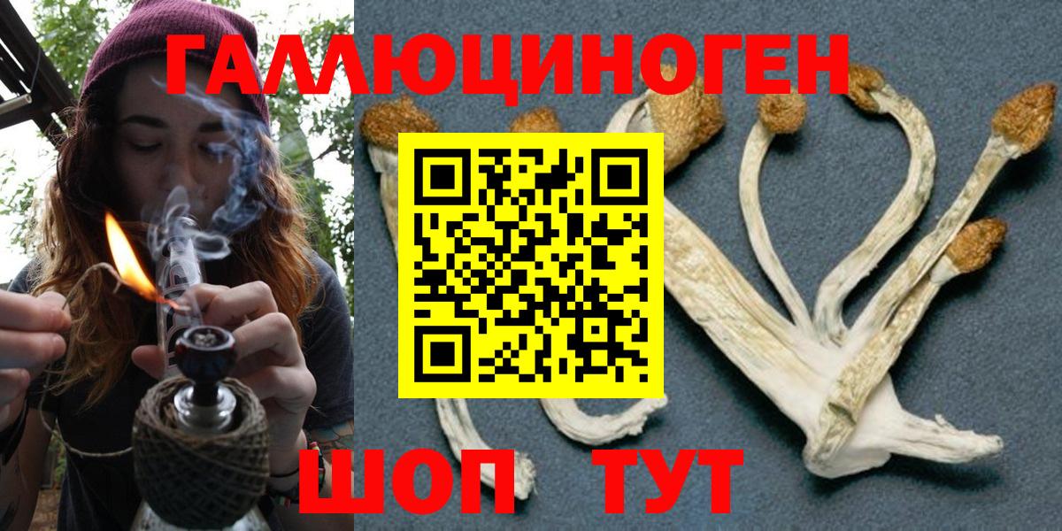 Галлюциногенные грибы мицелий Лосино-Петровский