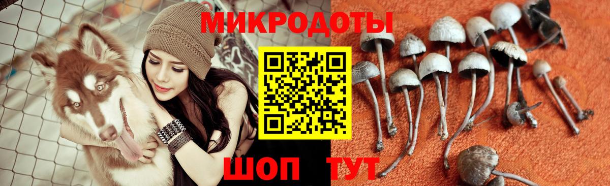 Псилоцибиновые грибы прущие грибы  Вход с VPN  Лосино-Петровский  как найти наркотики  Псилоцибиновые грибы прущие грибы 